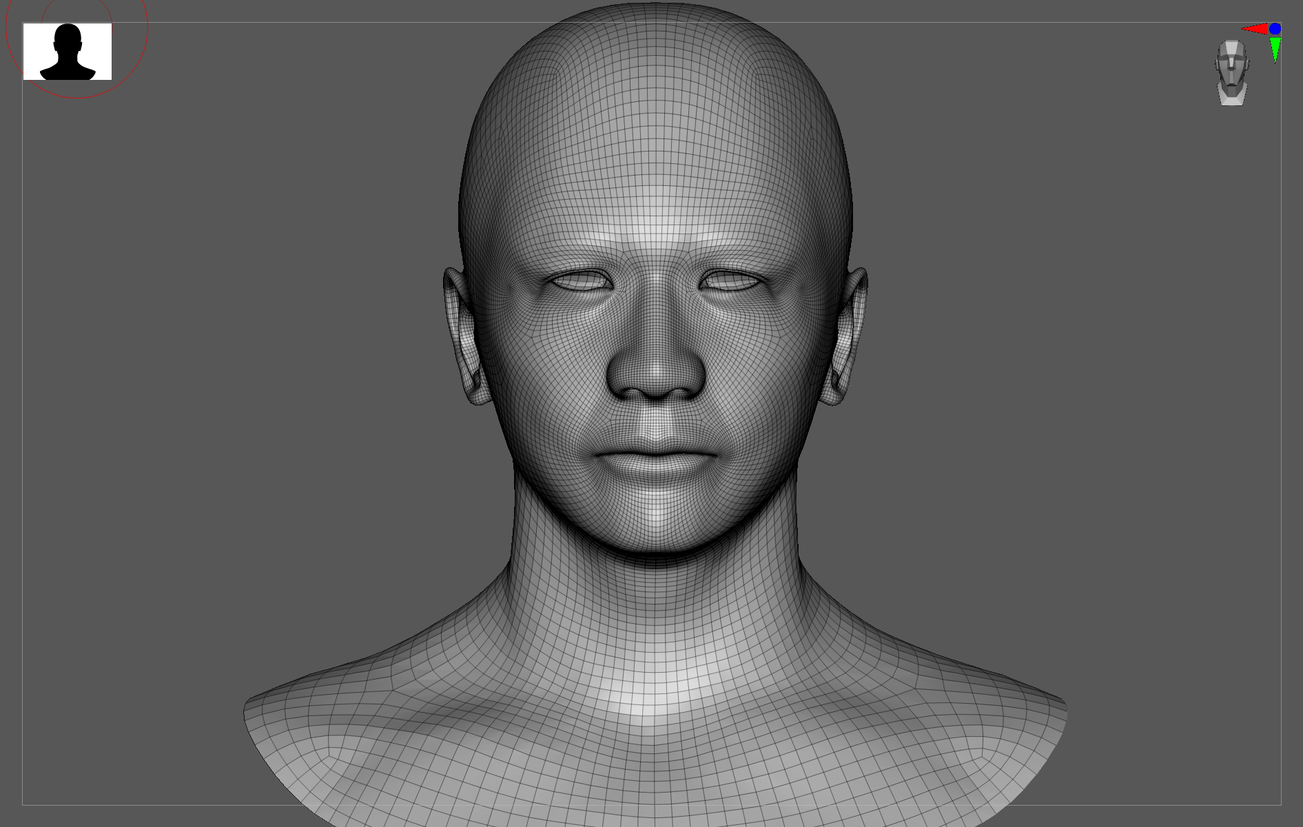 The mesh after detailed sculpting in ZBrush, with the original topology preserved. Front view.